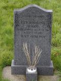 image of grave number 950215